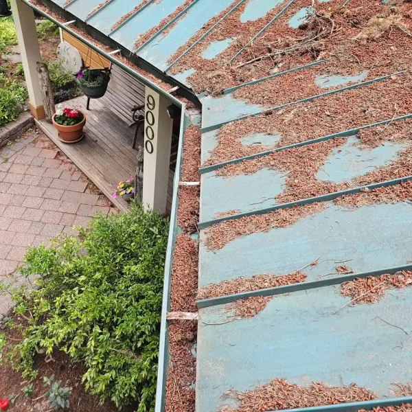 hiddengemsoftwash_1719088951_3396286739039051712_66603776609 (1) (1)