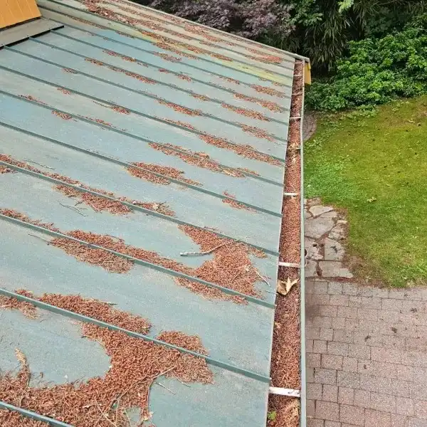 before and after gutter cleaning