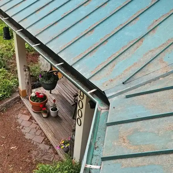 gutter cleaning near me